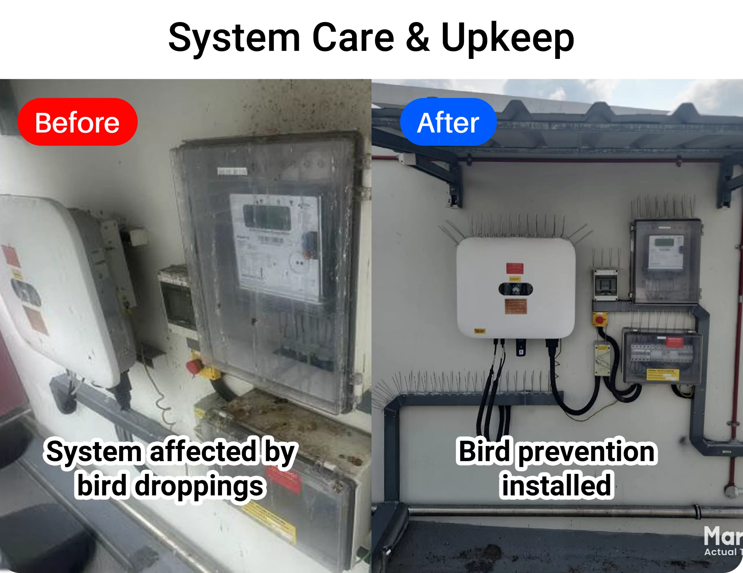 System Care & Upkeep